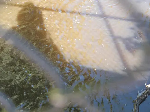 Photo of a river through a chain-link fence.