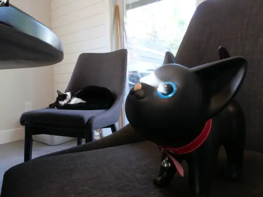 A cat and a toy cat.