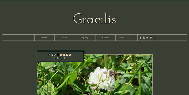 The front page of the Wix website.